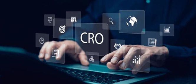 Retargeting and Conversion Rate Optimisation 