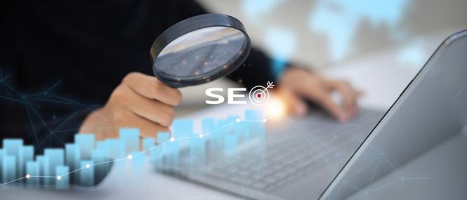 SEO Analytics, Attribution & Reporting
